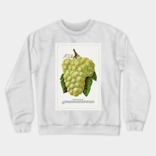 Green Mountain Grape Lithograph (1900) Crewneck Sweatshirt